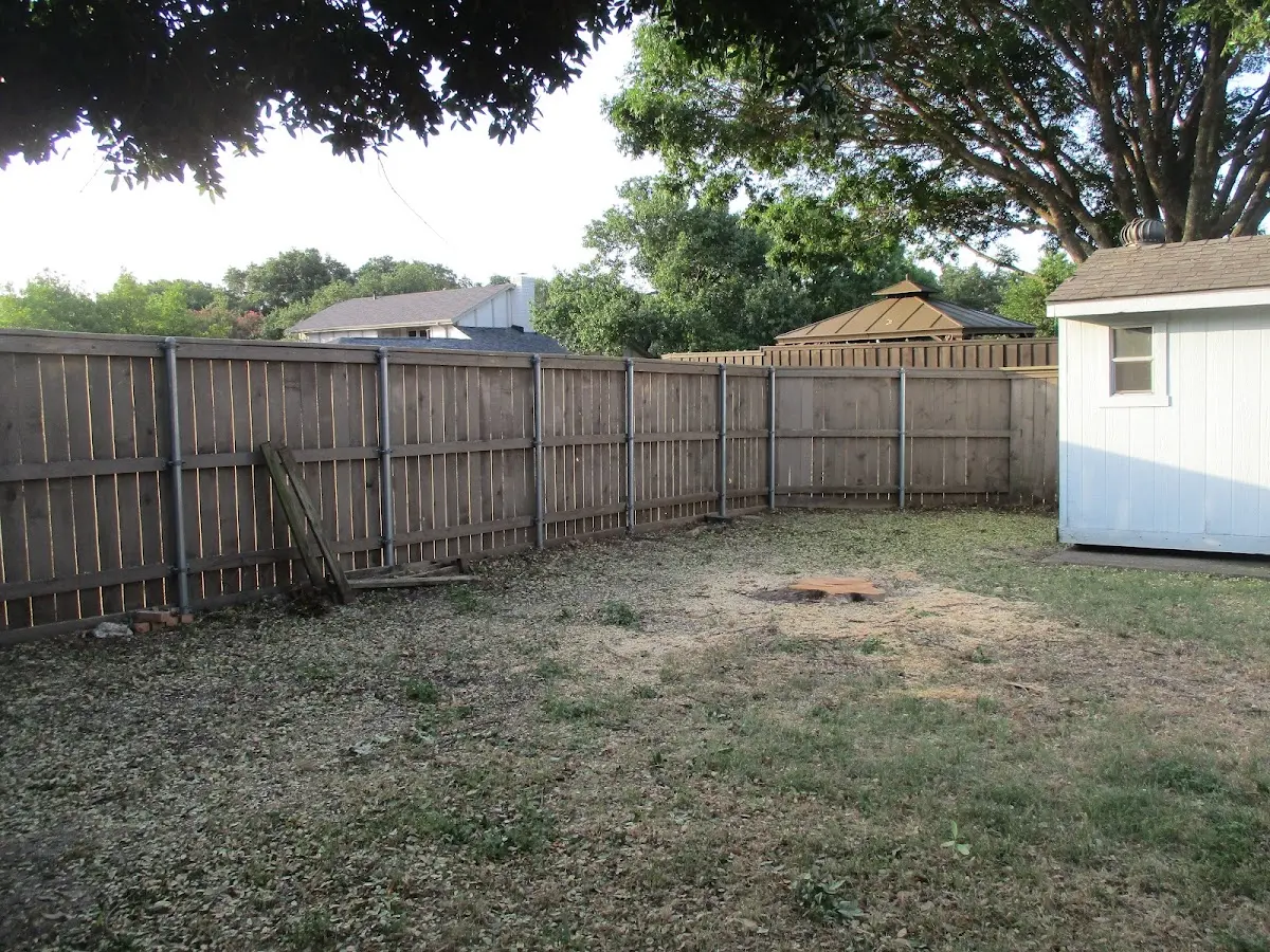 Cleared yard after professional tree removal in Bureau